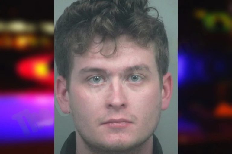 Nikolai Paraskevopoulus mugshot – Gwinnett County , Georgia Nikolai Paraskevopoulus