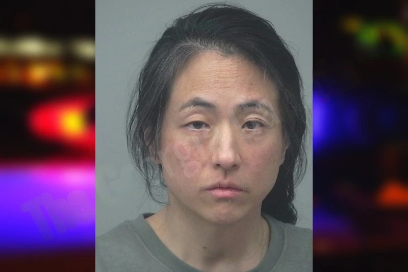Nina Kim Mugshots