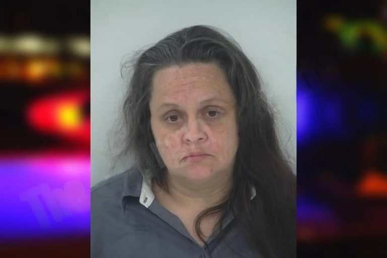 Noreen McCormick mugshot β Fayette County , Georgia Noreen McCormick