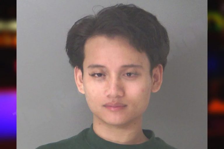 Nori Dul mugshot – Douglas County , Georgia Nori Dul