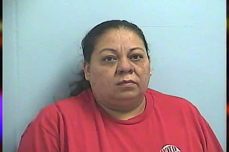 Norma Sanchez-Yerba mugshot – Dawson County , Georgia Norma Sanchez-Yerba mugshot