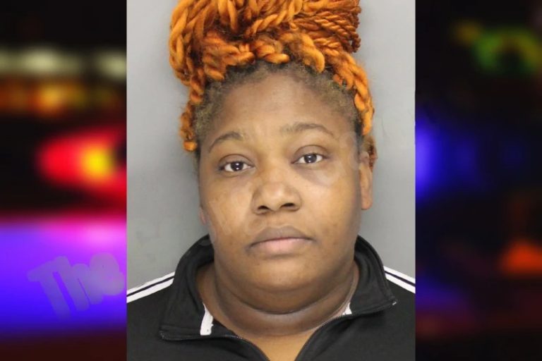 Nylandia Hines mugshot – Cobb County , Georgia Nylandia Hines