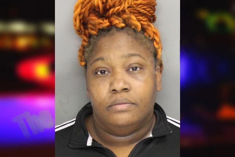 Nylandia Hines mugshot – Cobb County , Georgia Nylandia Hines mugshot