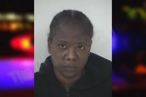 Oluwatoyin Dedeigbo mugshot