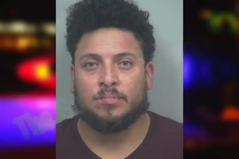 Oto Ortega-Solis mugshot – Gwinnett County , Georgia Oto Ortega-Solis