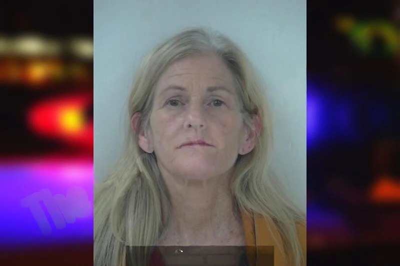 Pamala Brogdon mugshot