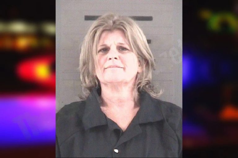 Pamala Pollock mugshot – Dougherty County , Georgia Pamala Pollock