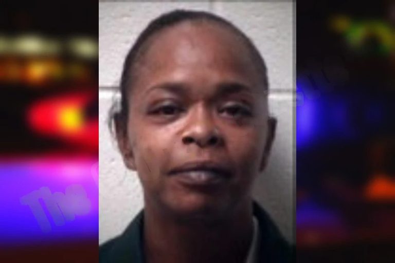 Pamela Johnson mugshot – Henry County , Georgia Pamela Johnson