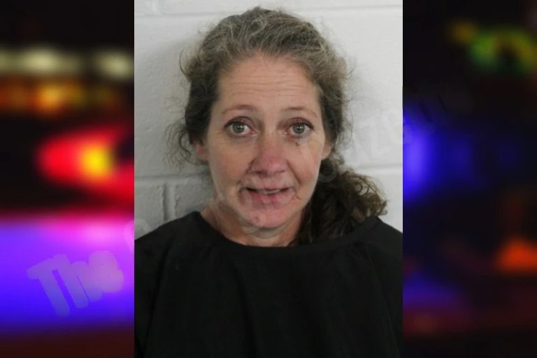 Pamela Reese mugshot – Floyd County , Georgia Pamela Reese