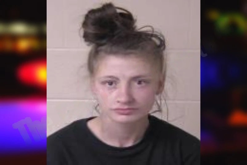 Pamela Wilkey mugshot