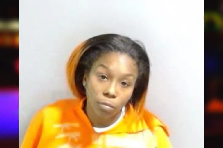 Patience Hill mugshot – Fulton County , Georgia Patience Hill