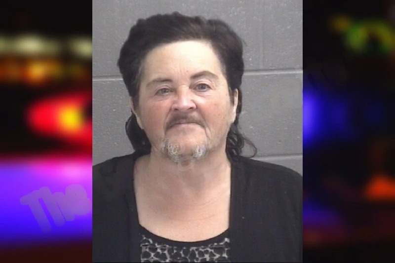 Patricia Hamilton Mugshots