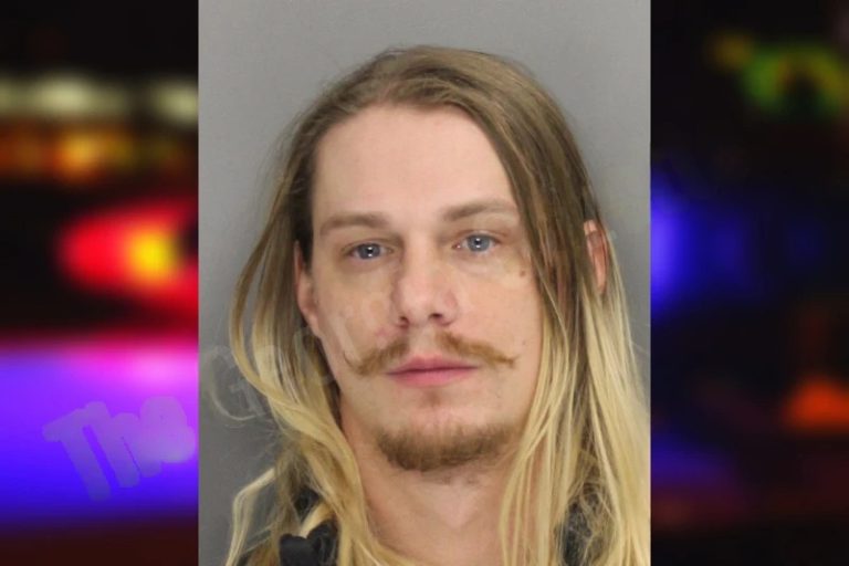 Paul McKay mugshot – Cobb County , Georgia Paul McKay