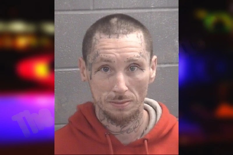 Paul Nipper Mugshots