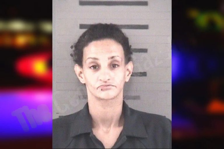 Paula Burnsed mugshot – Dougherty County , Georgia Paula Burnsed