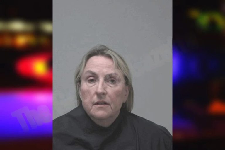 Paula Palm mugshot – Coweta County , Georgia Paula Palm