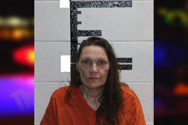 Pauline Rogers Mugshots