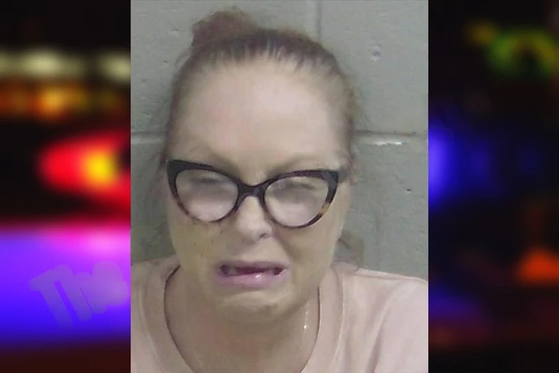 Phyllis Smith mugshot – Wayne County , Georgia Phyllis Smith mugshot