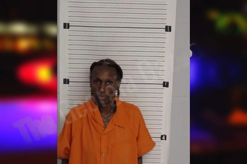 Priscilla Fedrick mugshot