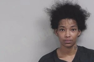 Quanice Nesbitt mugshot