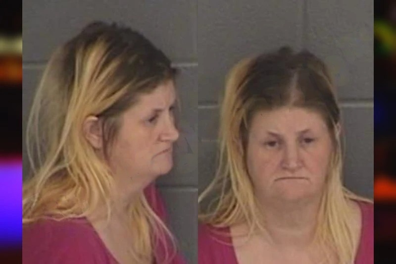 Rachael Hamby mugshot – Barrow County , Georgia Rachael Hamby mugshot