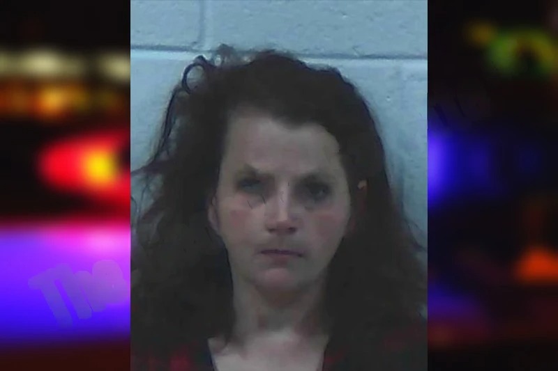 Rachel Barbour mugshot