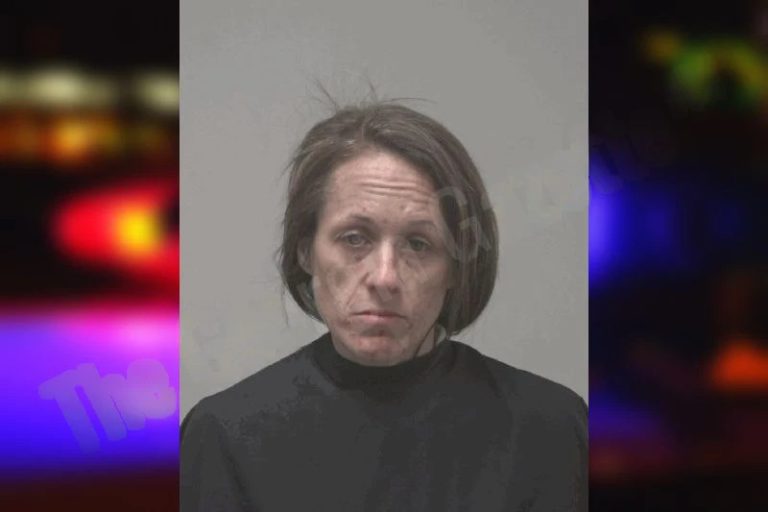 Rachel McBride mugshot – Coweta County , Georgia Rachel McBride