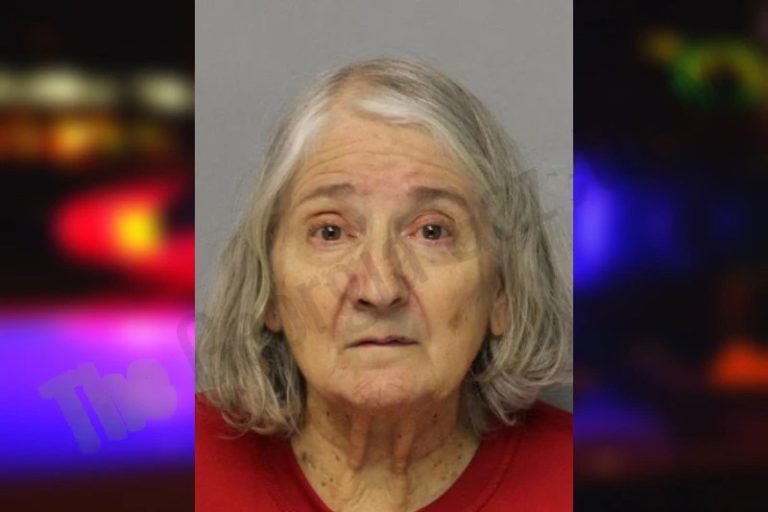 Rachel Ramer mugshot – Lumpkin County , Georgia Rachel Ramer