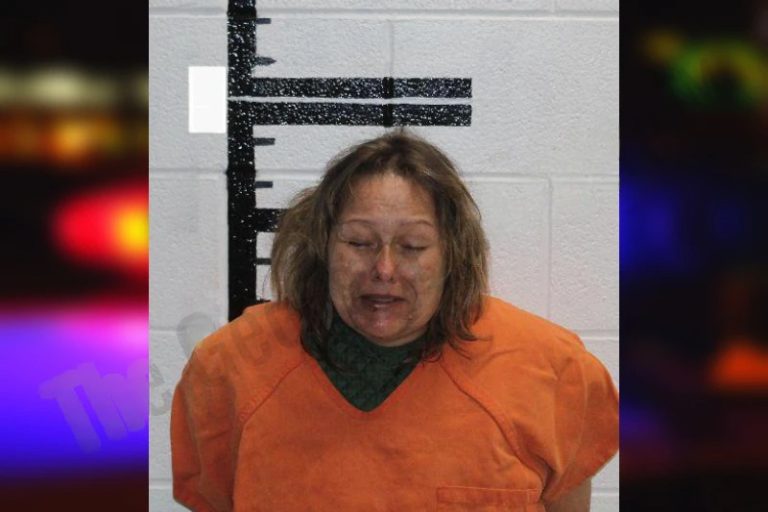 Raquel Farmwald mugshot – Murray County , Georgia Raquel Farmwald