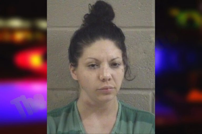 Rebecca Sanchez mugshot – Whitfield County , Georgia Rebecca Sanchez