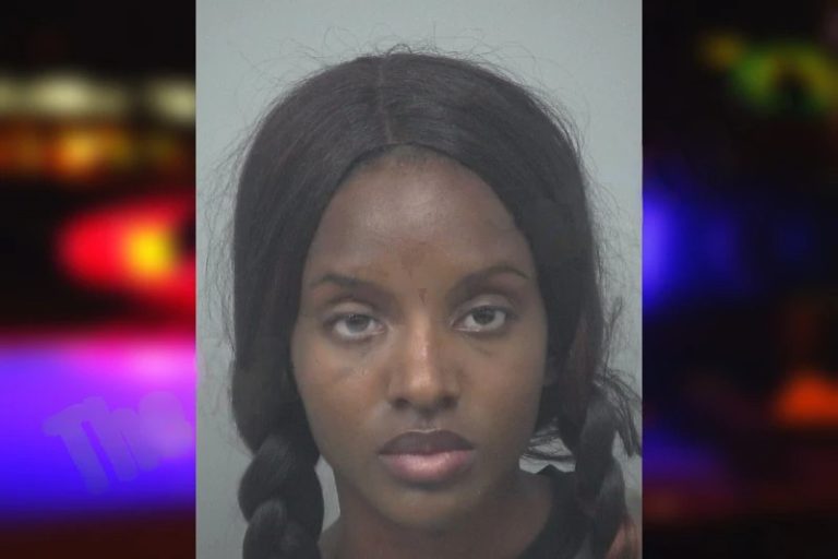 Rechelle Walker mugshot – Gwinnett County , Georgia Rechelle Walker