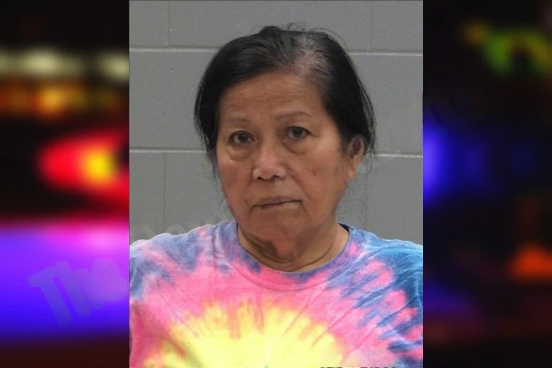 Remedios Santos Mugshots