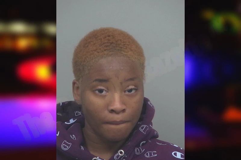 Renee Brown Mugshots