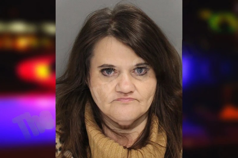 Rhonda Bassett mugshot – Cobb County , Georgia Rhonda Bassett mugshot