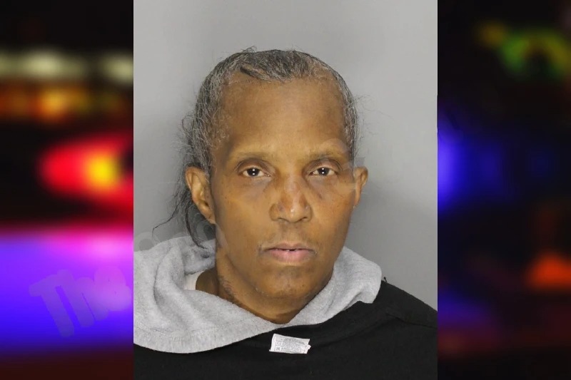 Rhonda Pelcher mugshot – Cobb County , Georgia Rhonda Pelcher mugshot