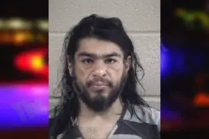 Ricardo Brito mugshot