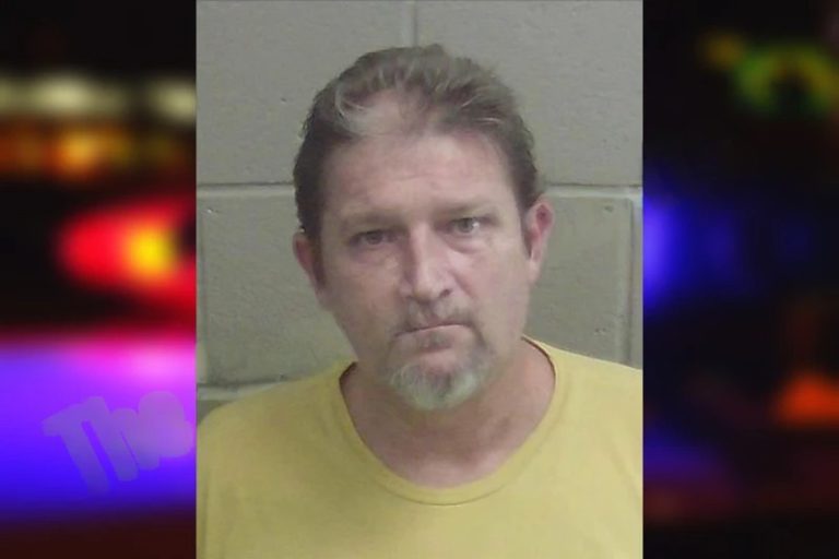 Robert Ellerbee mugshot – Wayne County , Georgia Robert Ellerbee