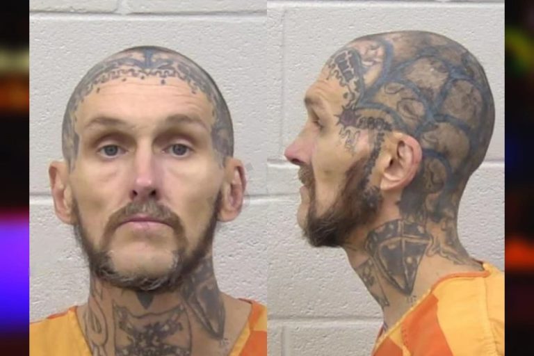 Robert Hulsey mugshot – Paulding County , Georgia Robert Hulsey