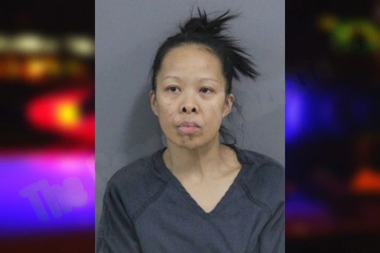 Rosie Nintirat mugshot – Catoosa County , Georgia Rosie Nintirat