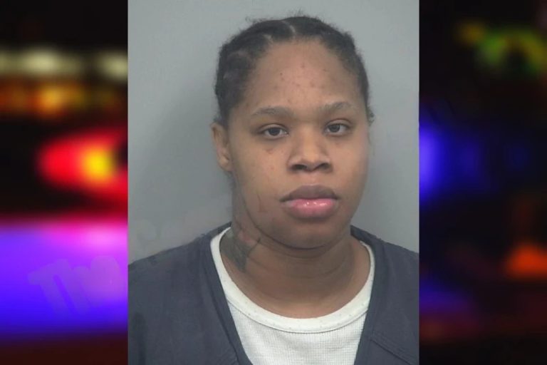 Rudeja Bega mugshot – Cobb County , Georgia Rudeja Bega