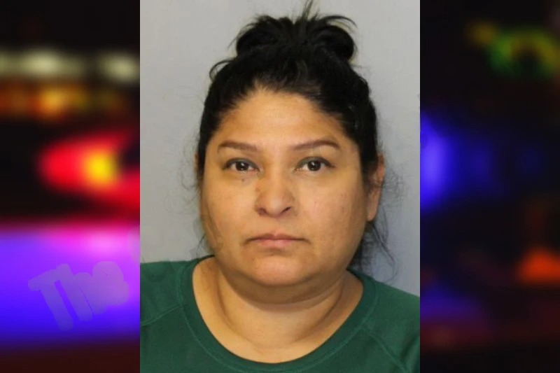 Ruth Castro Mugshots