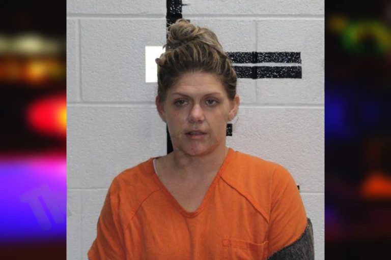 Sabrina Chambers mugshot – Murray County , Georgia Sabrina Chambers