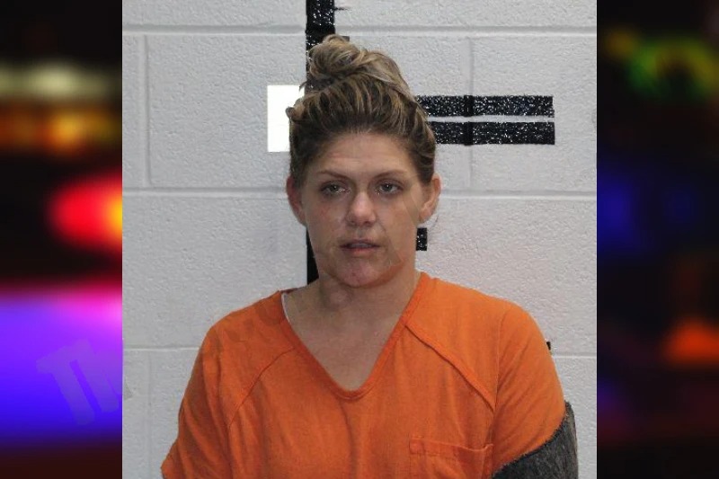 Sabrina Chambers mugshot – Murray County , Georgia Sabrina Chambers mugshot