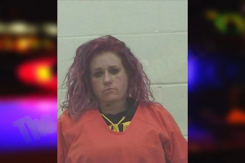 Sabrina Oconnor mugshot