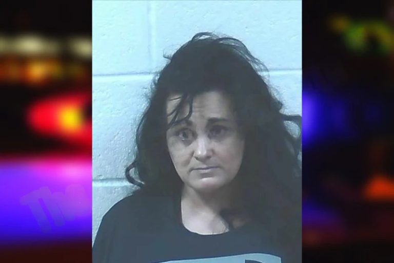 Sadie Csiszer Pilkinton mugshot – Jackson County , Georgia Sadie Csiszer Pilkinton