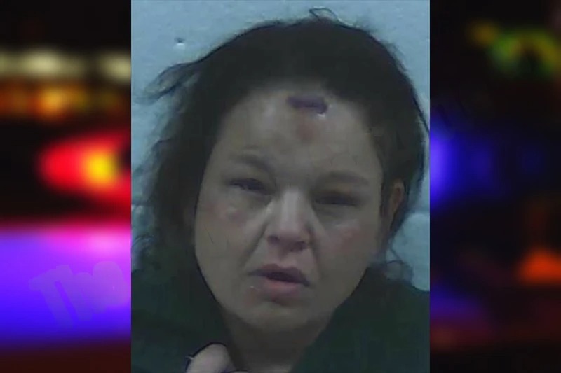 Samantha Harris mugshot – Jackson County , Georgia Samantha Harris mugshot