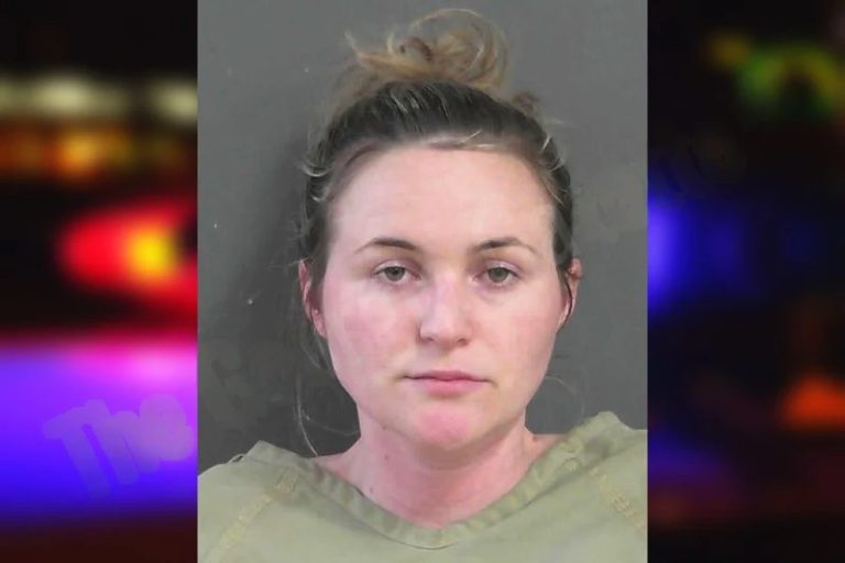 Samantha Turner mugshot – Gordon County , Georgia Samantha Turner