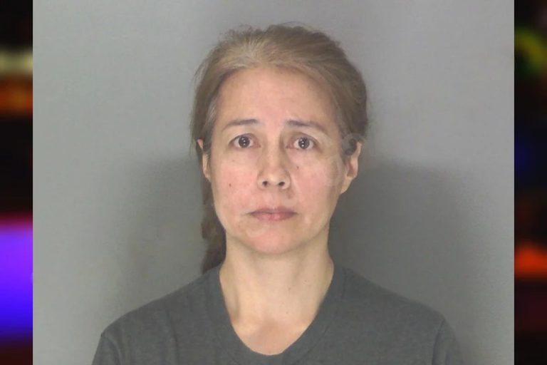 Sandra Palomino Franco mugshot – Douglas County , Georgia Sandra Palomino Franco