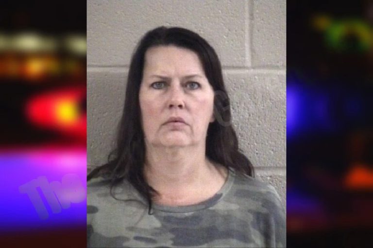 Sandy Brock mugshot – Whitfield County , Georgia Sandy Brock