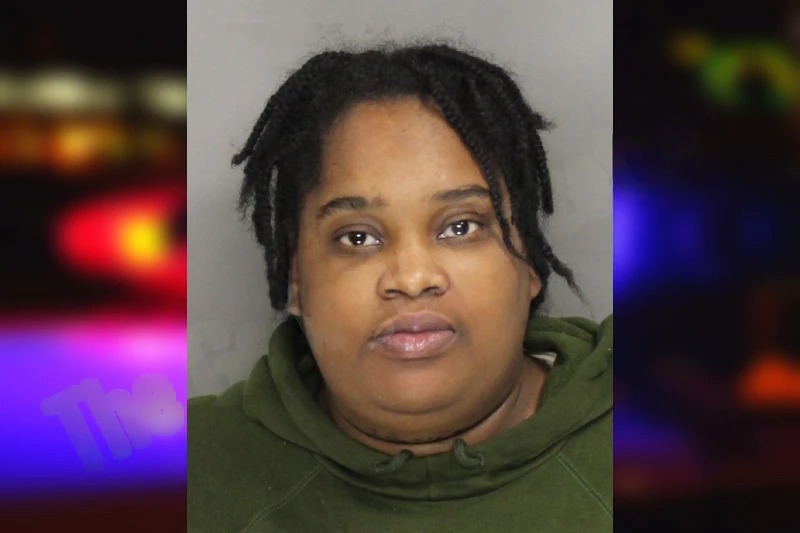 Santerri Lewis mugshot – Cobb County , Georgia Santerri Lewis mugshot